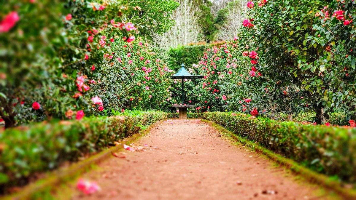The Hidden Gardens — scenic spot in Glasgow